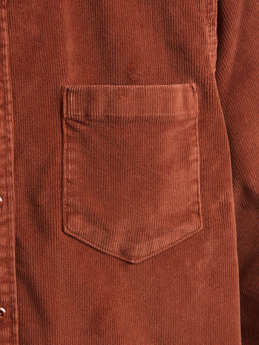 Auburns - Image 6