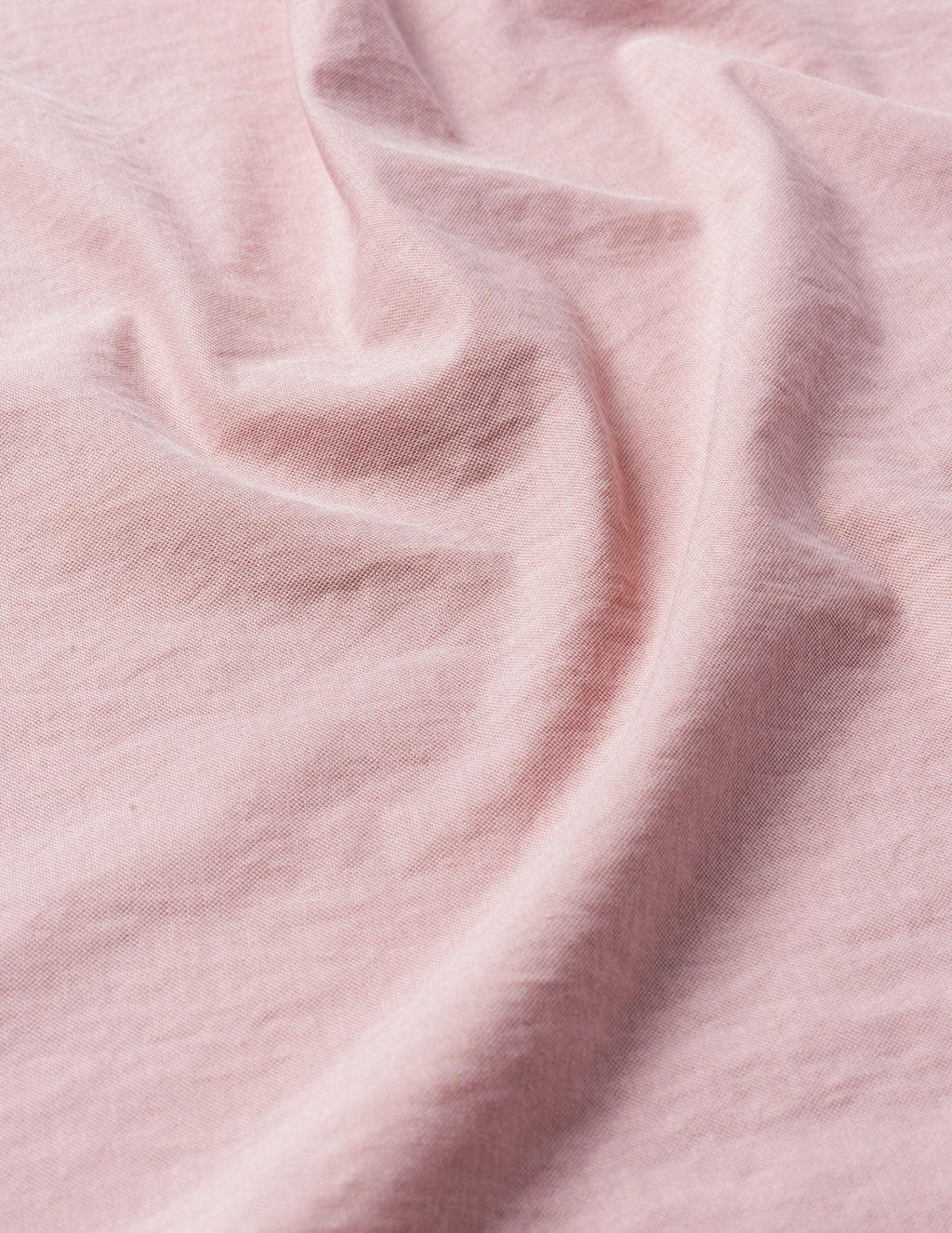 Peaches - Image 4