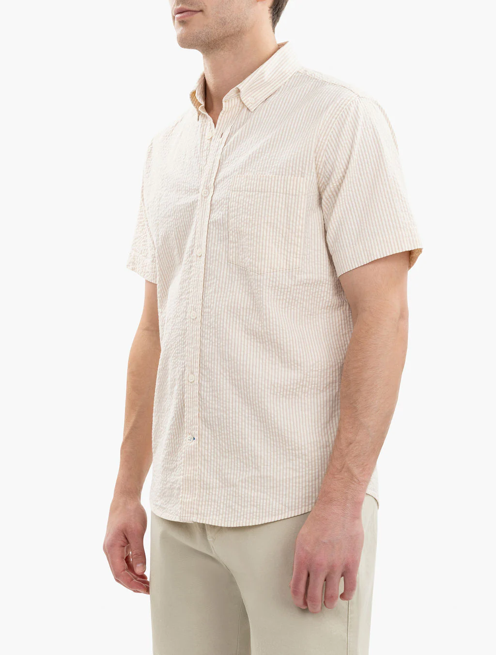 Raleighs - Image 5