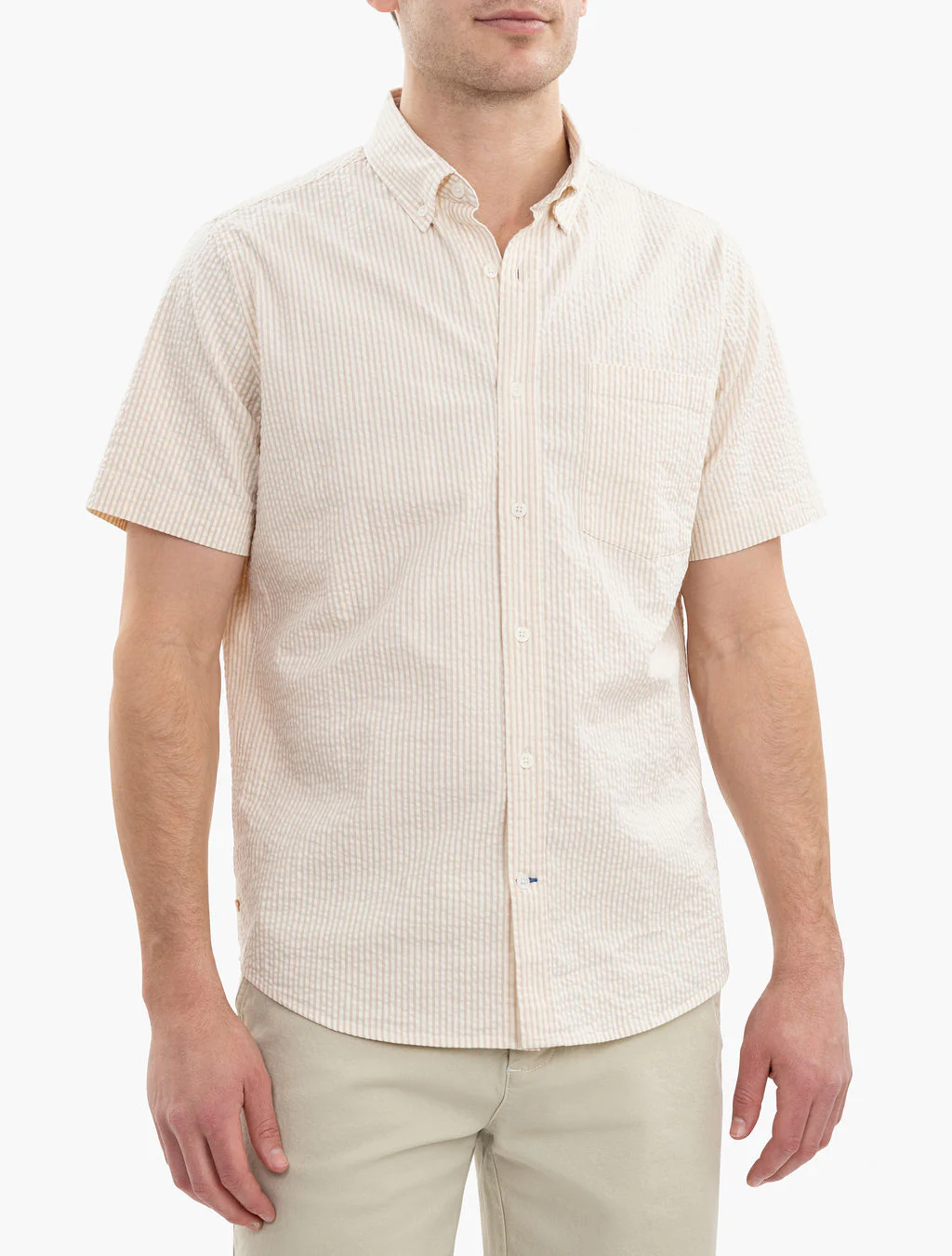Raleighs - Image 6