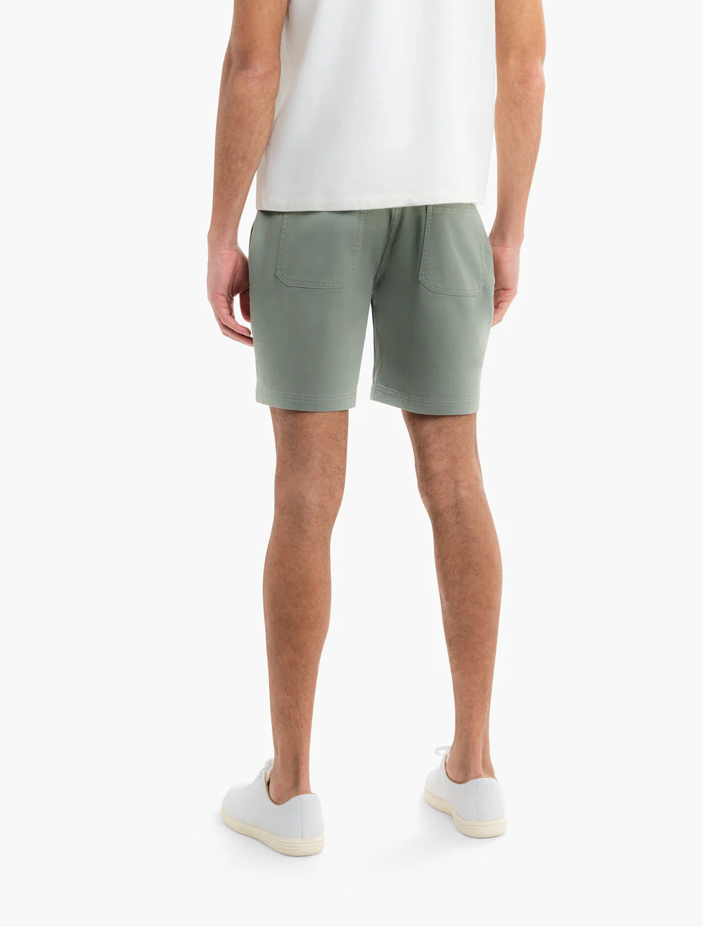 Seagrass - Image 5