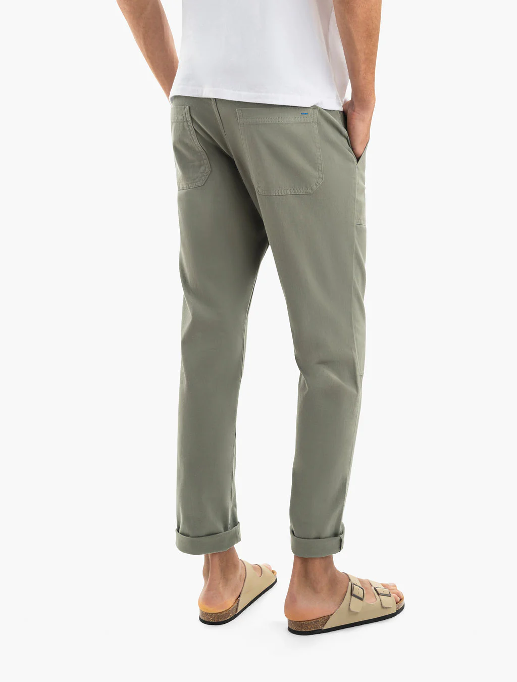Seagrass - Image 4