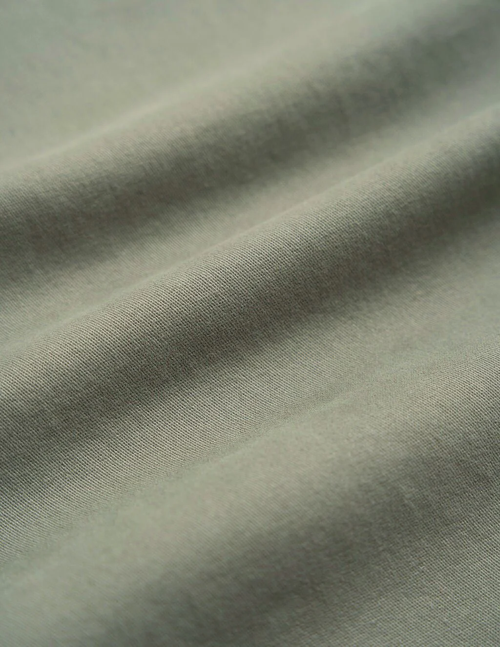 Seagrass - Image 8