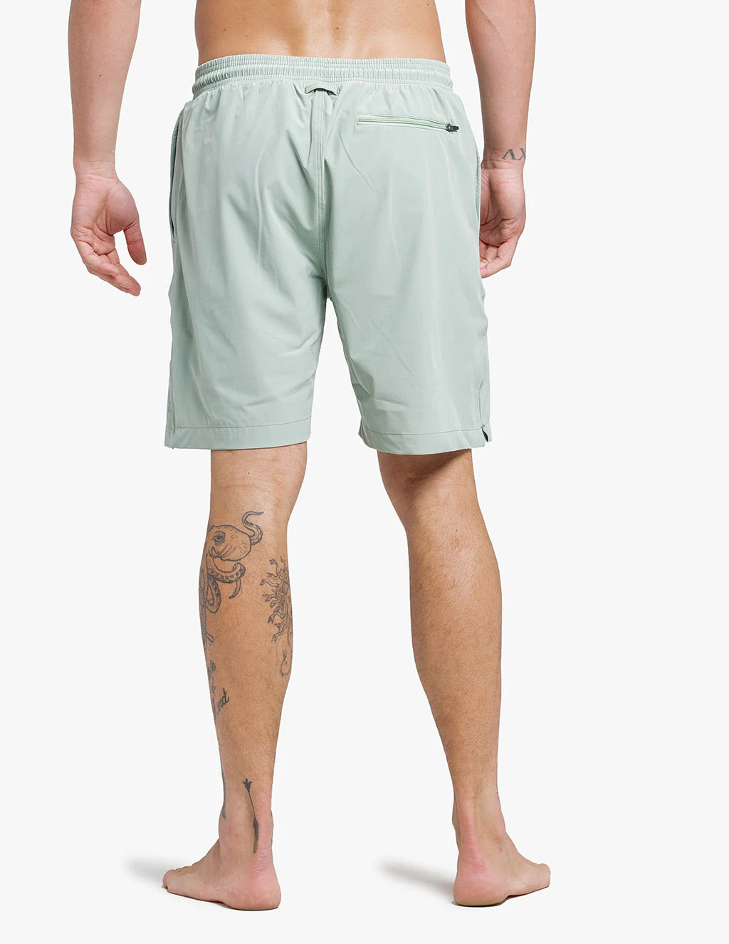 Coastals - Image 4