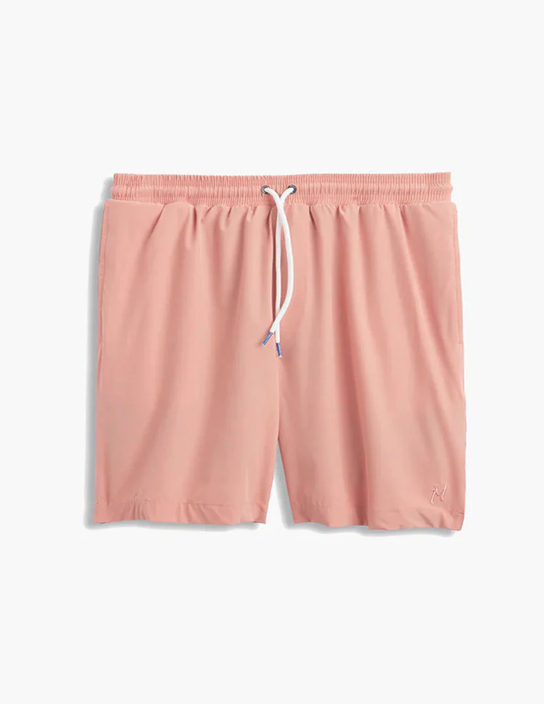 Corals - Image 2